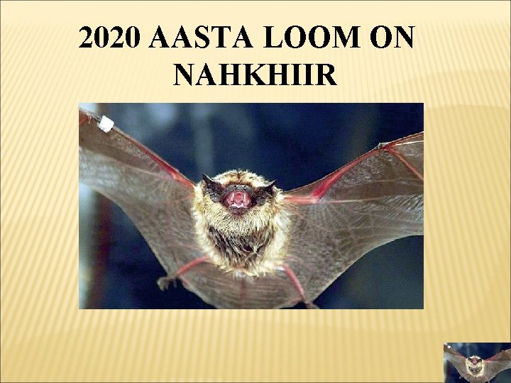 2020 AASTA LOOM ON NAHKHIIR 