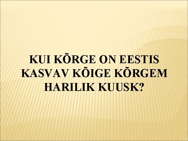 KUI KÕRGE ON EESTIS KASVAV KÕIGE KÕRGEM HARILIK KUUSK? 