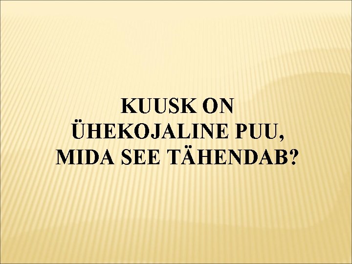 KUUSK ON ÜHEKOJALINE PUU, MIDA SEE TÄHENDAB? 