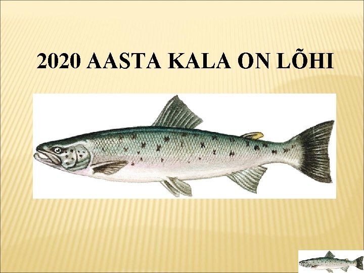 2020 AASTA KALA ON LÕHI 