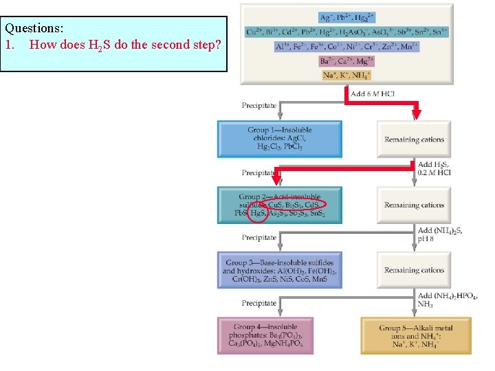 Questions: 1. How does H 2 S do the second step? 