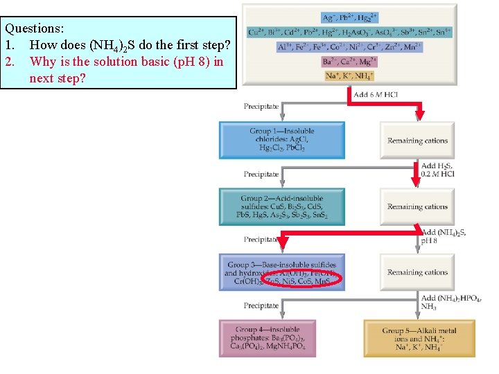 Questions: 1. How does (NH 4)2 S do the first step? 2. Why is