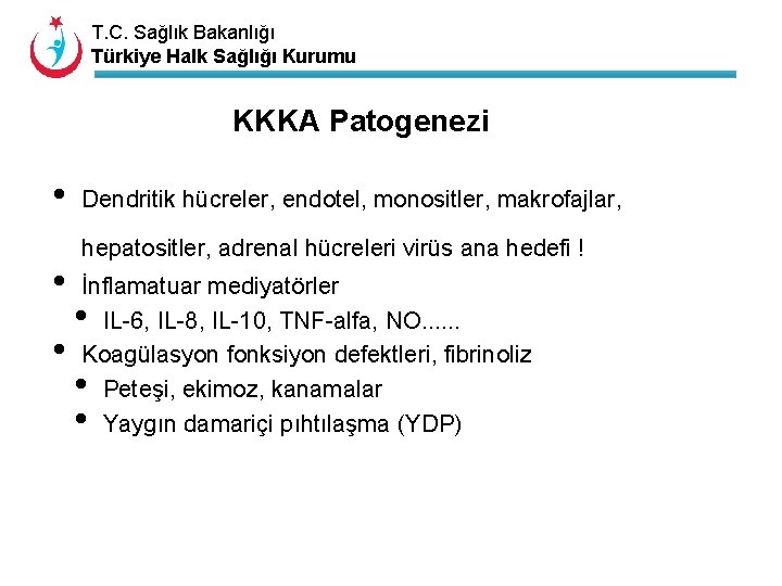 T. C. Sağlık Bakanlığı Türkiye Halk Sağlığı Kurumu KKKA Patogenezi • • • Dendritik