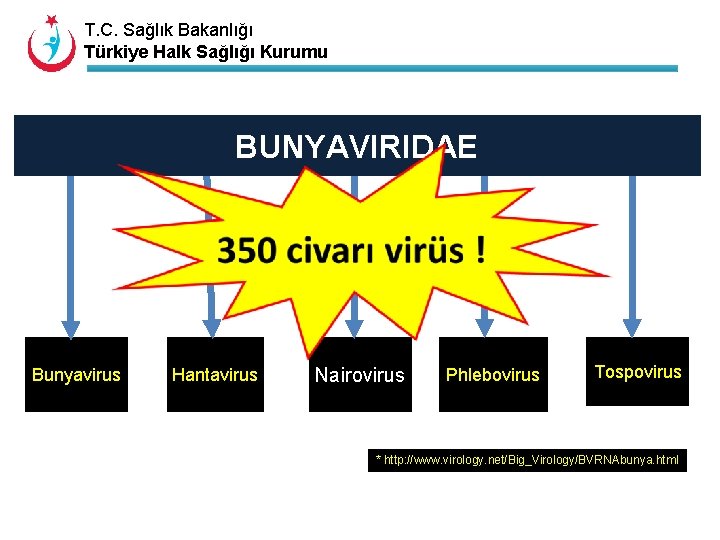 T. C. Sağlık Bakanlığı Türkiye Halk Sağlığı Kurumu BUNYAVIRIDAE Bunyavirus Hantavirus Nairovirus Phlebovirus Tospovirus