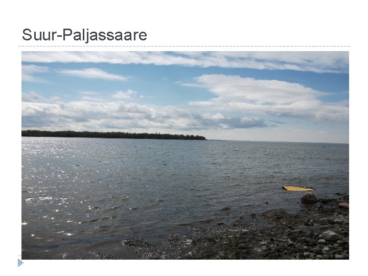 Suur-Paljassaare 