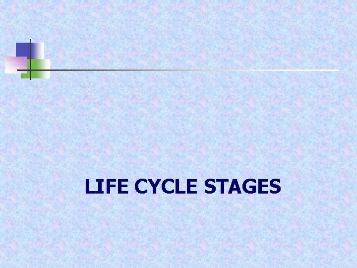 LIFE CYCLE STAGES 