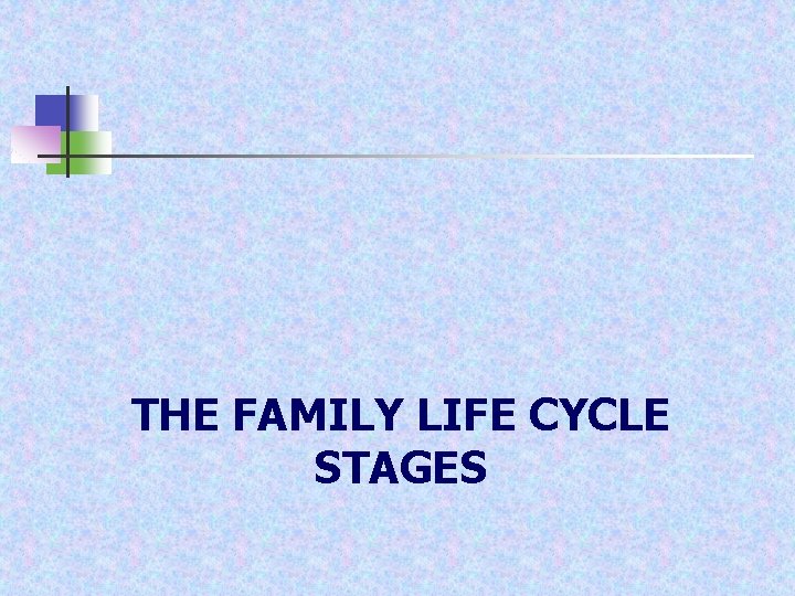THE FAMILY LIFE CYCLE STAGES 