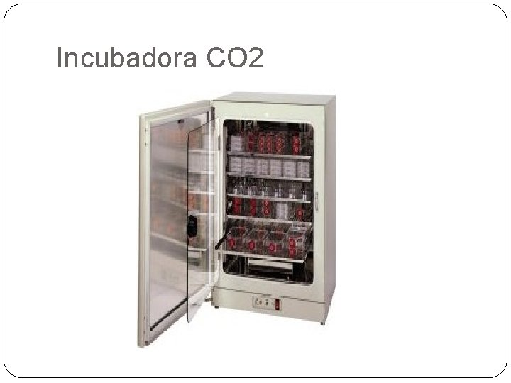 Incubadora CO 2 