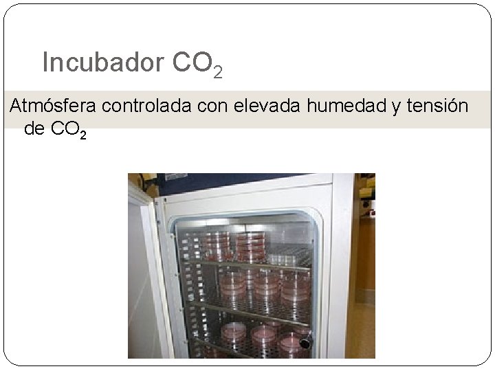 Incubador CO 2 Atmósfera controlada con elevada humedad y tensión de CO 2 