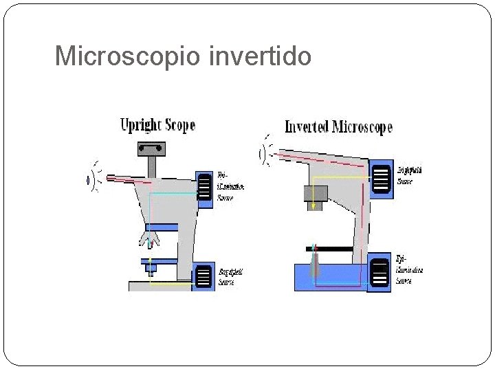 Microscopio invertido 