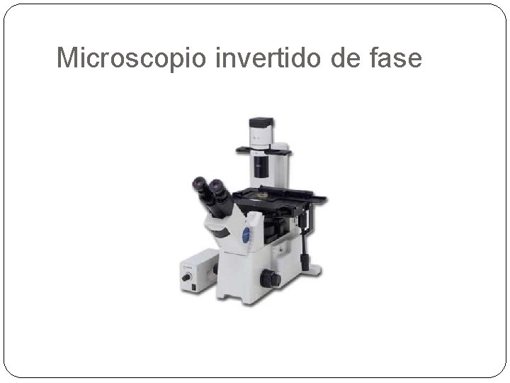 Microscopio invertido de fase 
