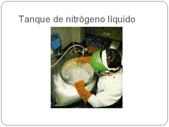 Tanque de nitrógeno líquido 