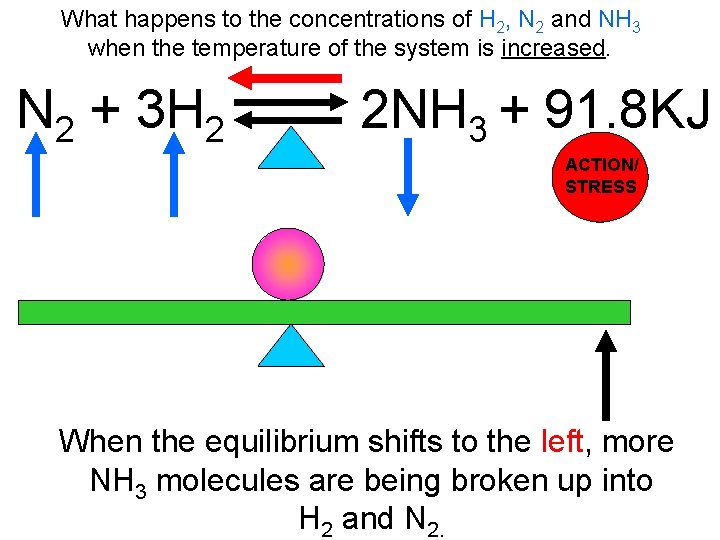 What happens to the concentrations of H 2, N 2 and NH 3 when