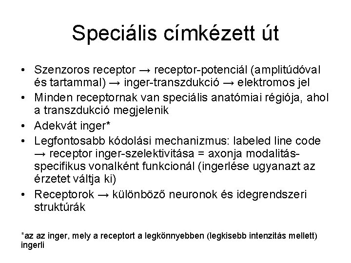 Speciális címkézett út • Szenzoros receptor → receptor-potenciál (amplitúdóval és tartammal) → inger-transzdukció →