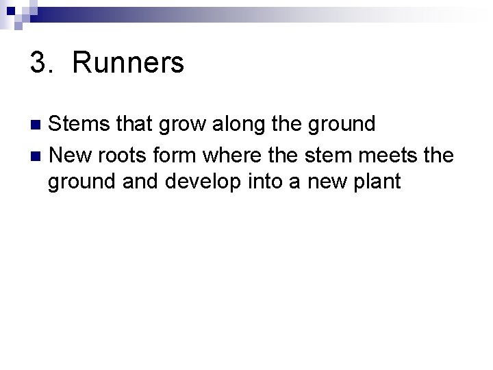 3. Runners Stems that grow along the ground n New roots form where the