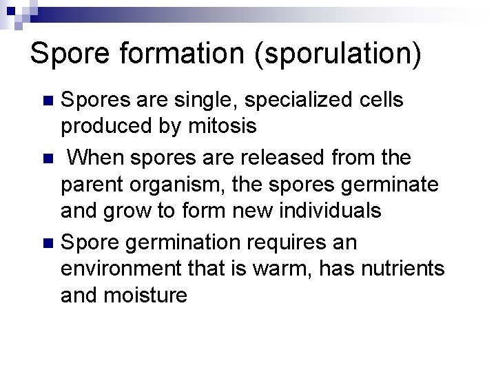 Spore formation (sporulation) Spores are single, specialized cells produced by mitosis n When spores