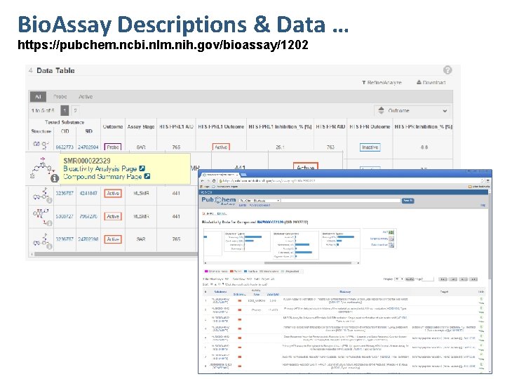Bio. Assay Descriptions & Data … https: //pubchem. ncbi. nlm. nih. gov/bioassay/1202 