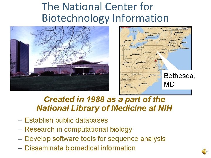 The National Center for Biotechnology Information Bethesda, MD Created in 1988 as a part