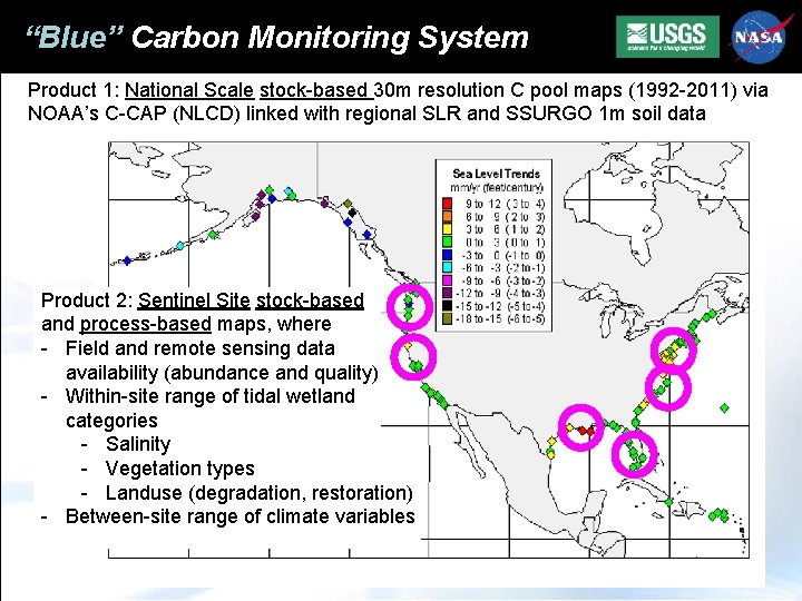 “Blue” Carbon Monitoring System Product 1: National Scale stock-based 30 m resolution C pool