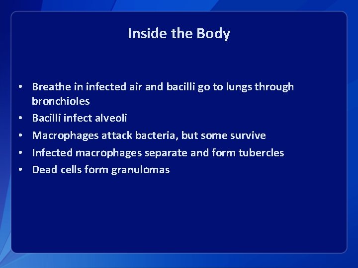 Inside the Body • Breathe in infected air and bacilli go to lungs through
