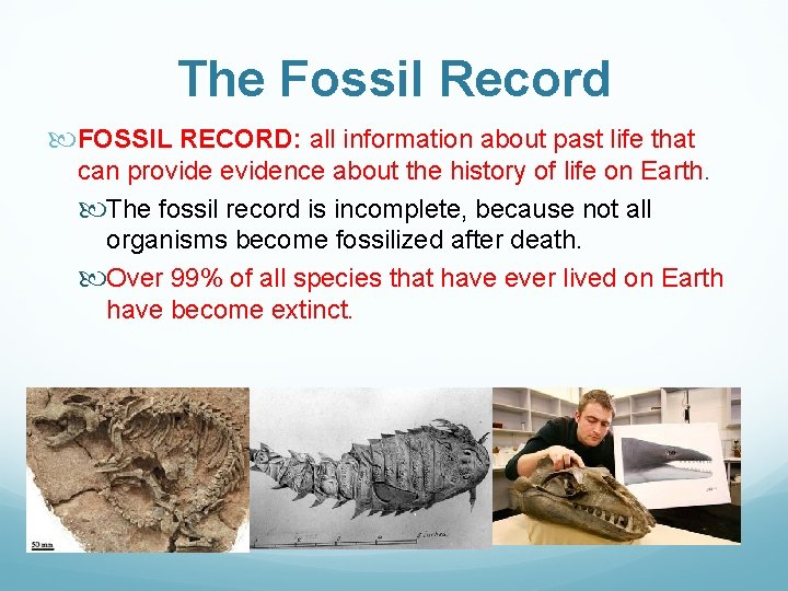 The Fossil Record FOSSIL RECORD: all information about past life that can provide evidence