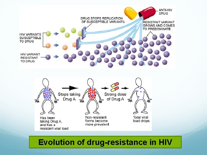 Evolution of drug-resistance in HIV 