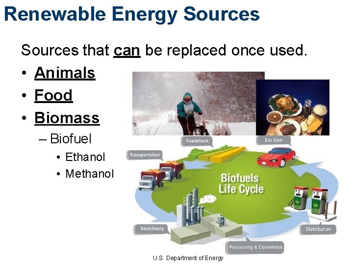 Renewable Energy Sources that can be replaced once used. • Animals • Food •