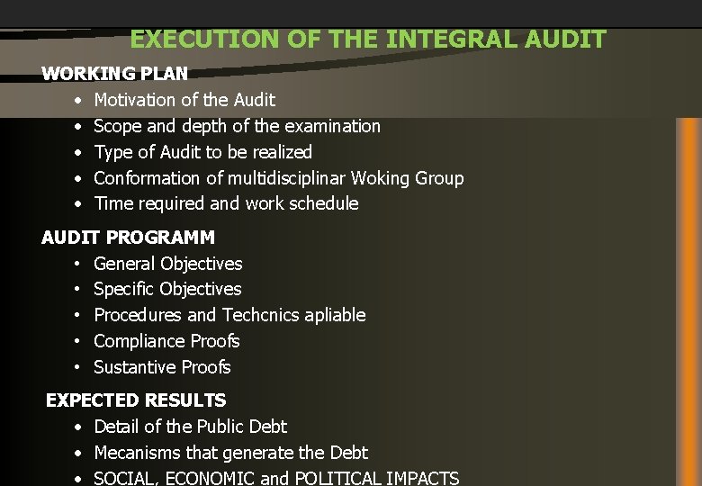 EXECUTION OF THE INTEGRAL AUDIT WORKING PLAN • Motivation of the Audit • Scope