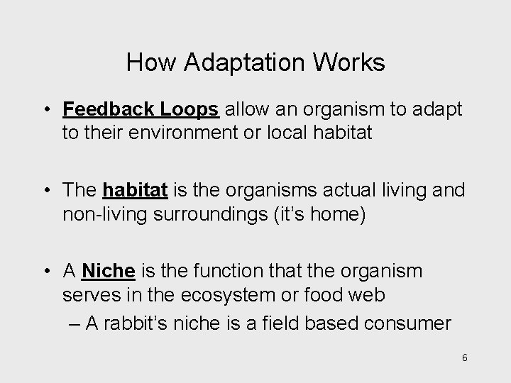 How Adaptation Works • Feedback Loops allow an organism to adapt to their environment