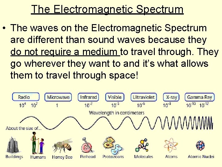 The Electromagnetic Spectrum • The waves on the Electromagnetic Spectrum are different than sound