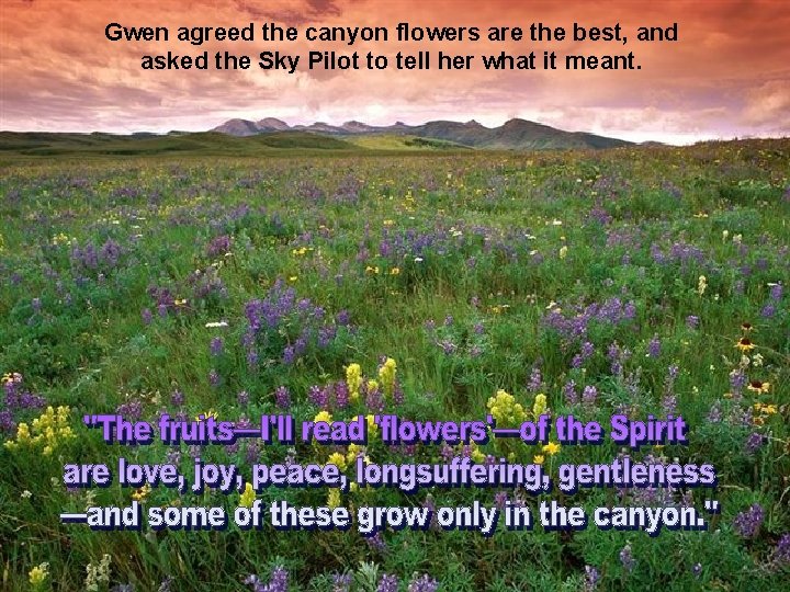 Gwen agreed the canyon flowers are the best, and asked the Sky Pilot to