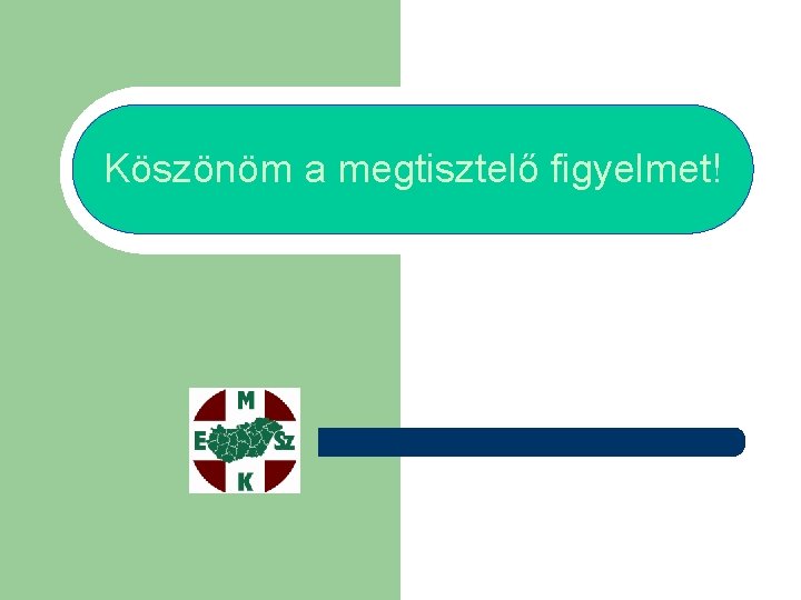 Köszönöm a megtisztelő figyelmet! 