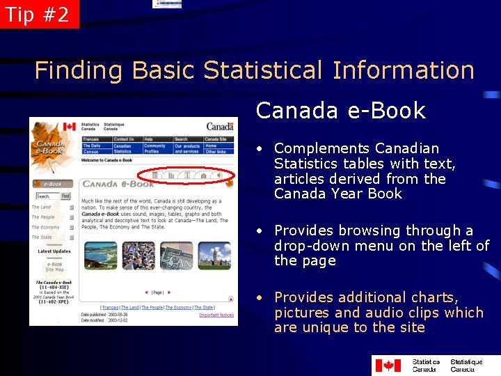 Tip #2 Finding Basic Statistical Information Canada e-Book • Complements Canadian Statistics tables with