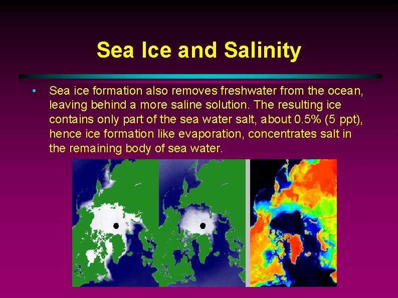 Sea Ice and Salinity • Sea ice formation also removes freshwater from the ocean,