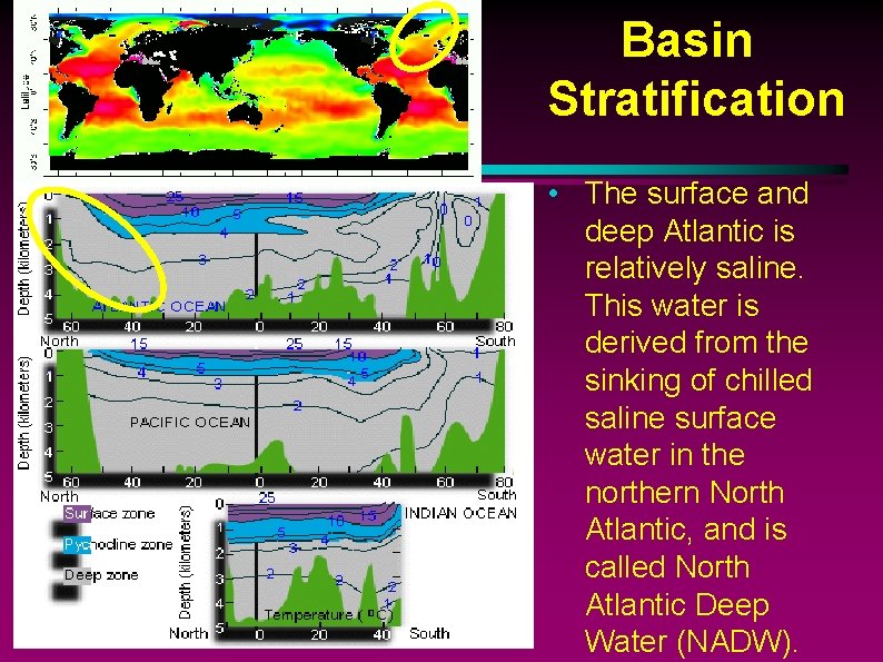 Basin Stratification • The surface and deep Atlantic is relatively saline. This water is