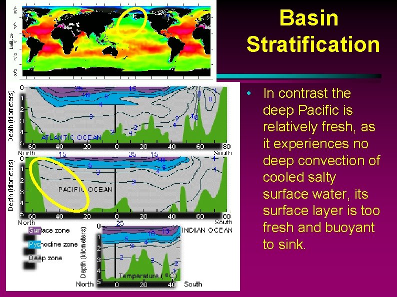 Basin Stratification • In contrast the deep Pacific is relatively fresh, as it experiences