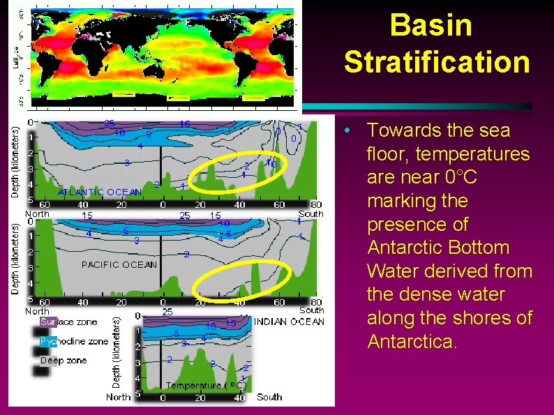 Basin Stratification • Towards the sea floor, temperatures are near 0°C marking the presence