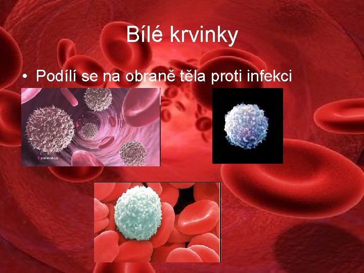 Bílé krvinky • Podílí se na obraně těla proti infekci 