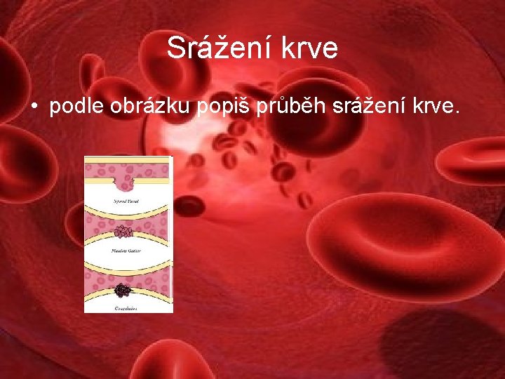 Srážení krve • podle obrázku popiš průběh srážení krve. 