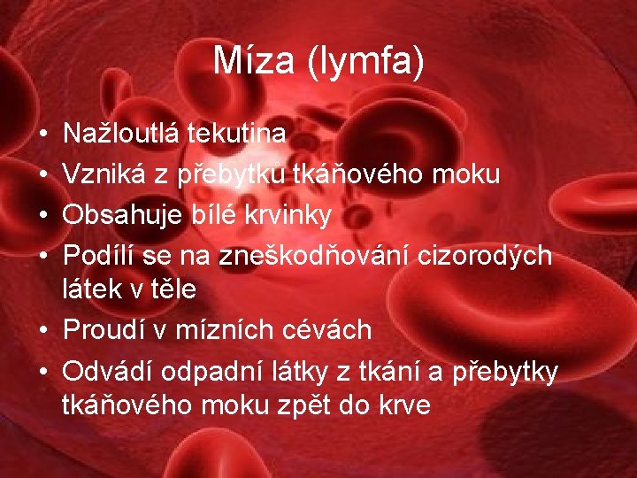 Míza (lymfa) • • Nažloutlá tekutina Vzniká z přebytků tkáňového moku Obsahuje bílé krvinky