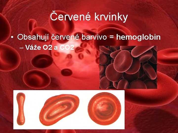 Červené krvinky • Obsahují červené barvivo = hemoglobin – Váže O 2 a CO