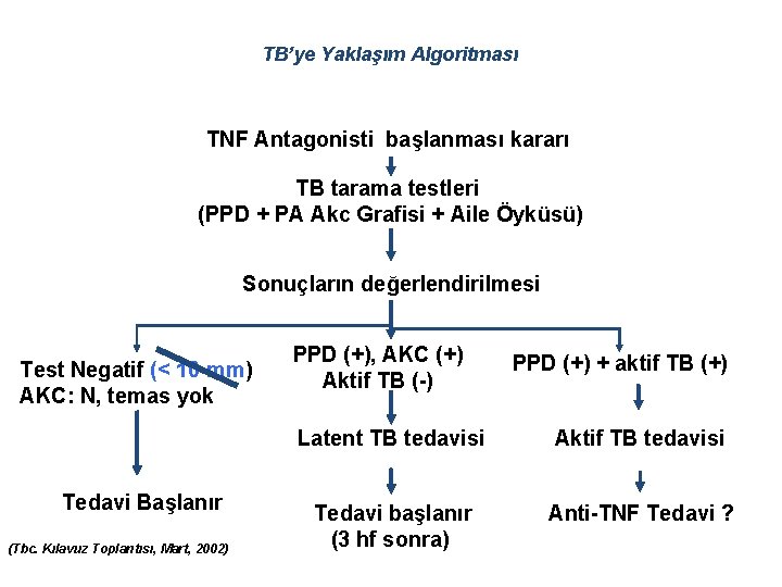TB’ye Yaklaşım Algoritması TNF Antagonisti başlanması kararı TB tarama testleri (PPD + PA Akc
