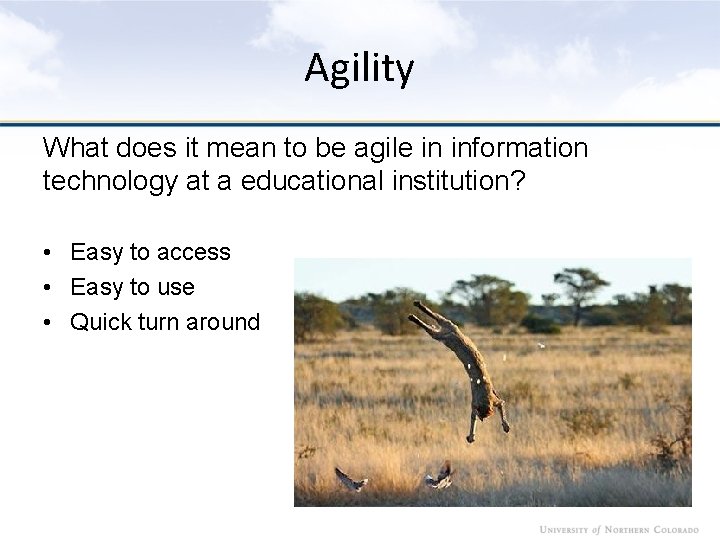 Agility What does it mean to be agile in information technology at a educational