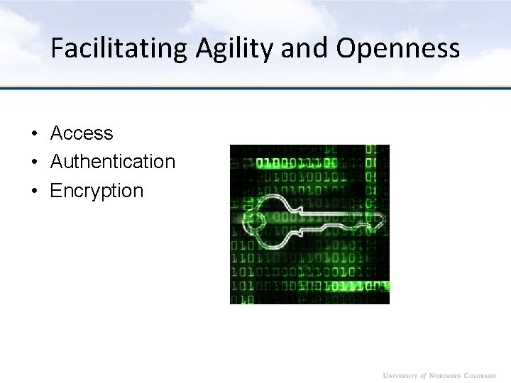 Facilitating Agility and Openness • Access • Authentication • Encryption 