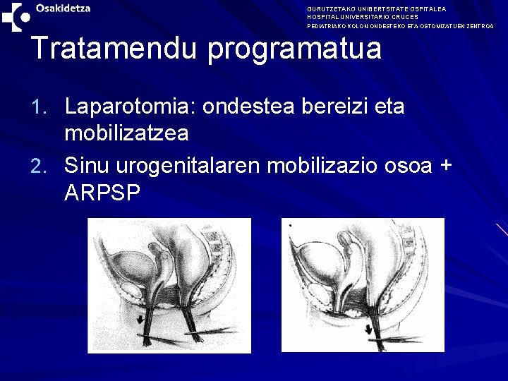 GURUTZETAKO UNIBERTSITATE OSPITALEA HOSPITAL UNIVERSITARIO CRUCES PEDIATRIAKO KOLON-ONDESTEKO ETA OSTOMIZATUEN ZENTROA Tratamendu programatua 1.