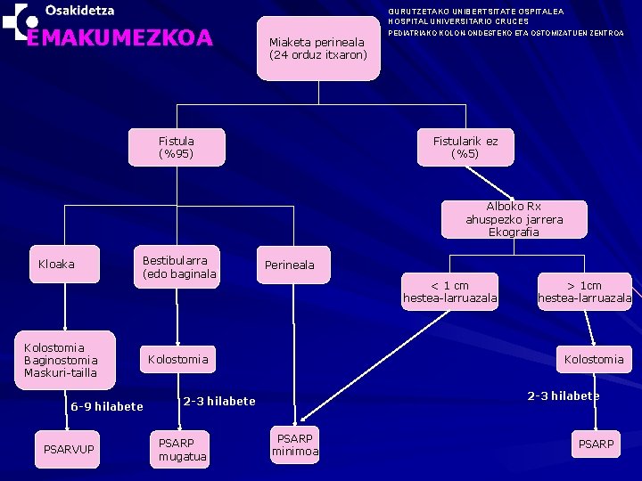 EMAKUMEZKOA GURUTZETAKO UNIBERTSITATE OSPITALEA HOSPITAL UNIVERSITARIO CRUCES Miaketa perineala (24 orduz itxaron) Fistula (%95)