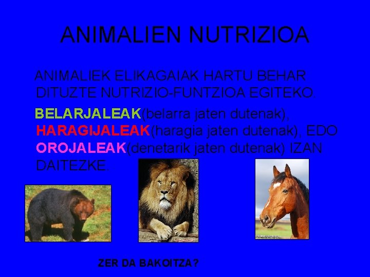 ANIMALIEN NUTRIZIOA ANIMALIEK ELIKAGAIAK HARTU BEHAR DITUZTE NUTRIZIO-FUNTZIOA EGITEKO. BELARJALEAK(belarra jaten dutenak), HARAGIJALEAK(haragia jaten