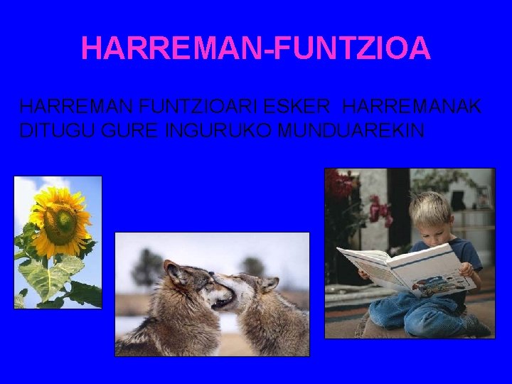 HARREMAN-FUNTZIOA HARREMAN FUNTZIOARI ESKER HARREMANAK DITUGU GURE INGURUKO MUNDUAREKIN 