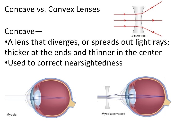 Concave vs. Convex Lenses Concave— • A lens that diverges, or spreads out light