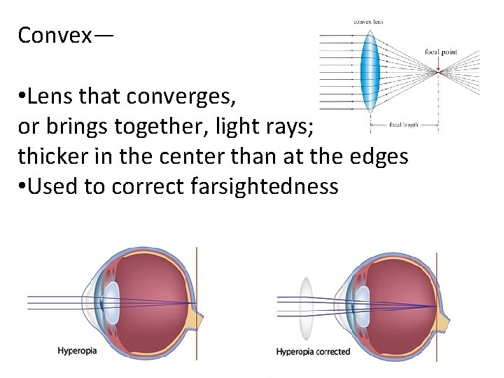 Convex— • Lens that converges, or brings together, light rays; thicker in the center